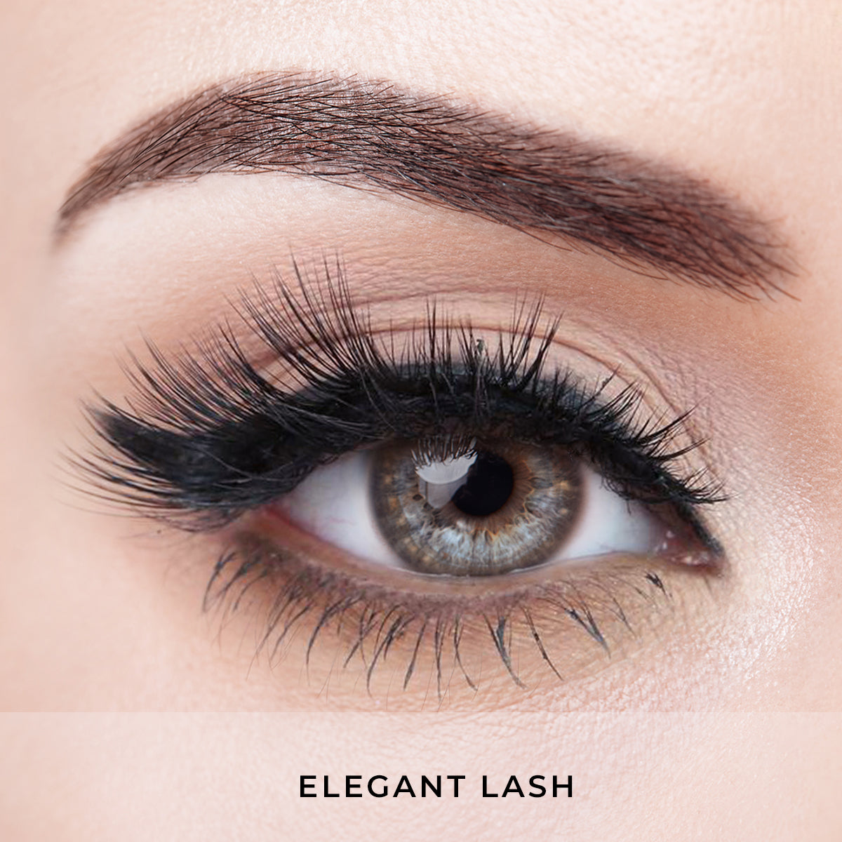 Glamour Kit - Magnetic Lashes